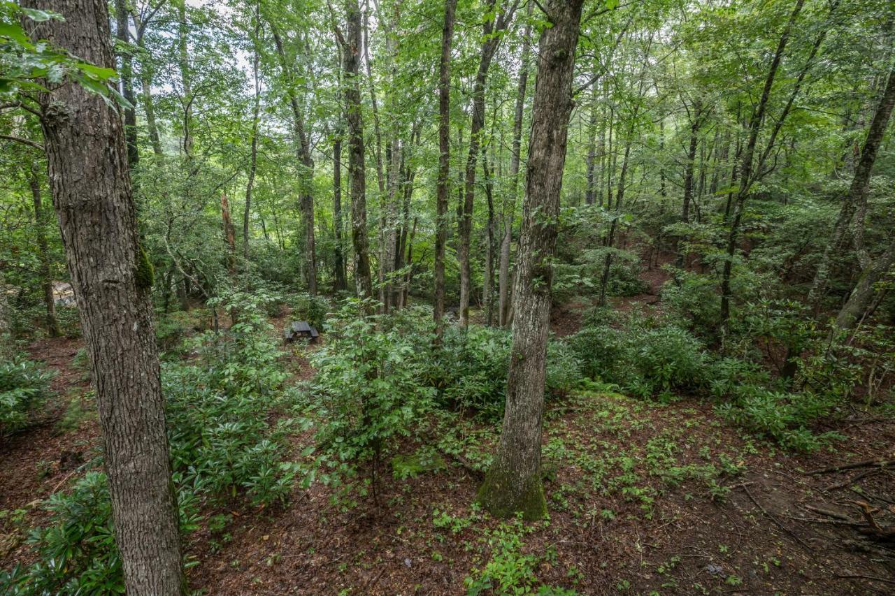 Springmaid Mountain Villa Spruce Pine Exterior foto