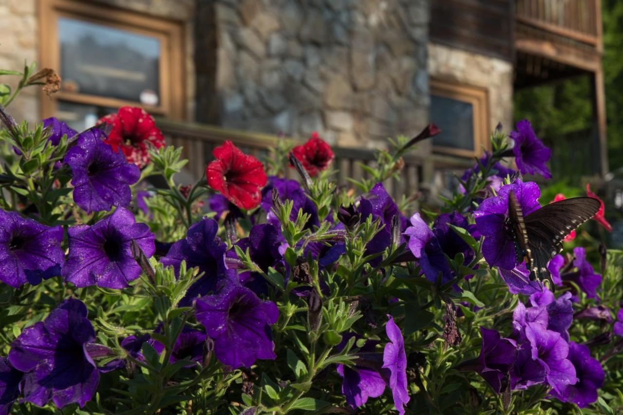 Springmaid Mountain Villa Spruce Pine Exterior foto